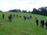 Vorschaubild 4