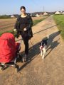 Vorschaubild 5