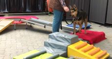 Vorschaubild 8