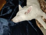 Vorschaubild 6