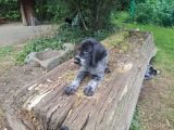Vorschaubild 1