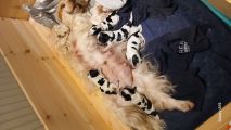 Vorschaubild 7