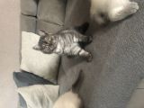 Vorschaubild 3