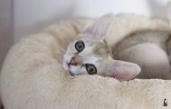 Vorschaubild 8