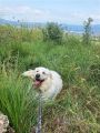 Vorschaubild 6