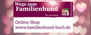 Vorschaubild 10