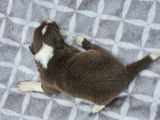 Vorschaubild 2