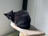 Vorschaubild 6