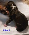 Vorschaubild 6