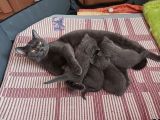 Vorschaubild 1