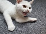 Vorschaubild 7