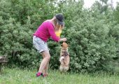 Vorschaubild 5