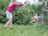 Vorschaubild 4