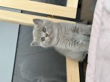 Vorschaubild 3