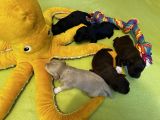 Vorschaubild 2