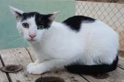 Vorschaubild 2