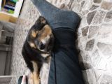 Vorschaubild 3