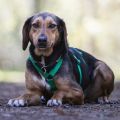 Vorschaubild 4