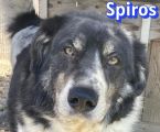 Vorschaubild 5