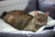 Vorschaubild 7