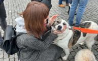 Vorschaubild 5