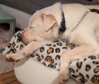 Vorschaubild 6