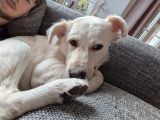 Vorschaubild 2