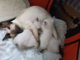 Vorschaubild 5