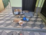 Vorschaubild 9