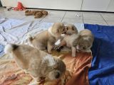 Vorschaubild 7