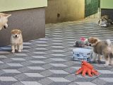Vorschaubild 3