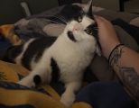 Vorschaubild 3