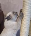 Vorschaubild 5