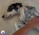 Vorschaubild 5