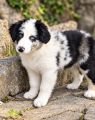 Vorschaubild 8