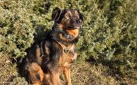Vorschaubild 1