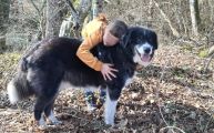 Vorschaubild 5