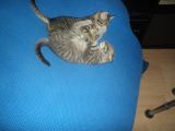 Vorschaubild 9
