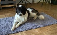 Vorschaubild 1