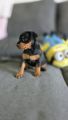 Vorschaubild 7