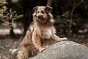 Vorschaubild 6