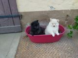 Vorschaubild 3