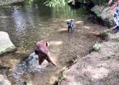 Vorschaubild 6