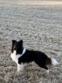 Vorschaubild 6