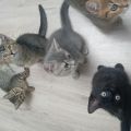 Vorschaubild 7