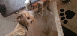 Vorschaubild 5