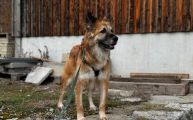Vorschaubild 7