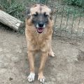 Vorschaubild 8