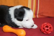 Vorschaubild 6