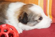 Vorschaubild 9